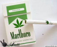 /album/tabaquismo/a895194009-iwjnkqlupeqmmhx-jpg/