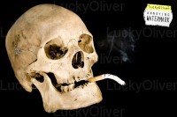 /album/tabaquismo/tabaco2-jpg1/